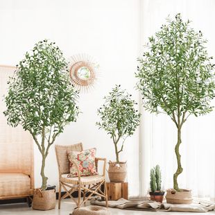 �羳�����ϙ�����Բ��b�پGֲ�辰���Q�Ҿӿ͏d������b[��