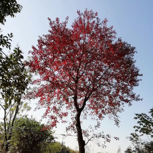 �������l ���Ǘ���� �����ʘ��� �@�־G���L���� 8-30���ִִ��