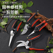 �����Sֱ�l�����仨�@��֦�����@ˇ�����G���@�ֹ��߈@�־G������