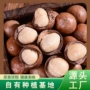 混合原味源头夏威夷果