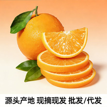 �M�ݹ��@ֱ�������M��Ě�ȱ�Ƥ�����������lˮ����֭�ք��Fժ���