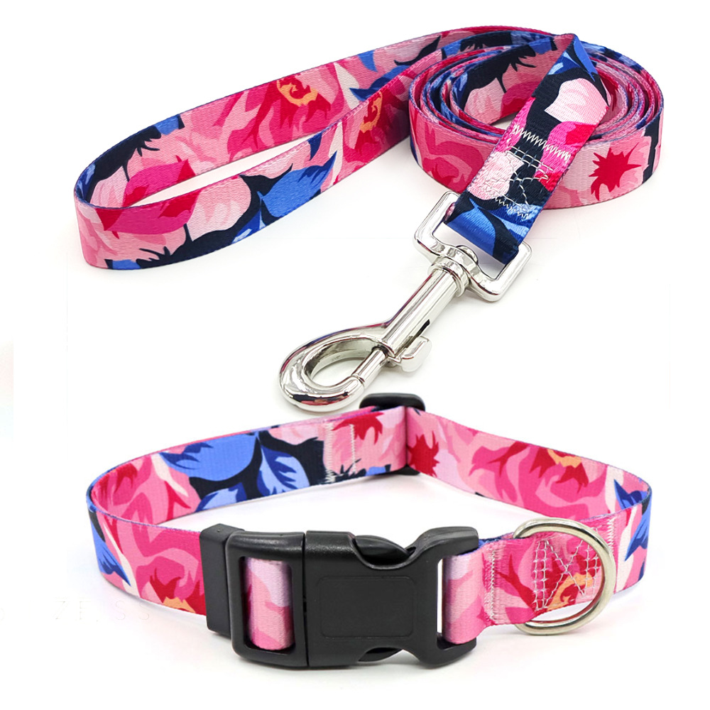 Amazon al por mayor collar de mascota corda de tracción al aire libre paseo perro collar perro collar en el viento