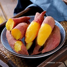 310tRĿɽССָr߲5ɳSĳ