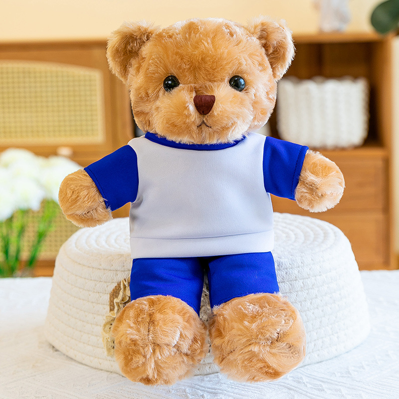 Oso personalizado logotipo impresa emblema de la escuela Nombre de clase estudiante Teddy Bear Dr. Bear Regalo de apertura