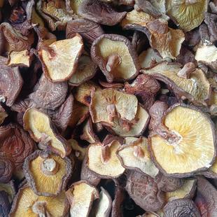 ���Ƭ�o���㹽 Ģ���r���Ԯa�¶�����؛�خaʳ�þ�500��