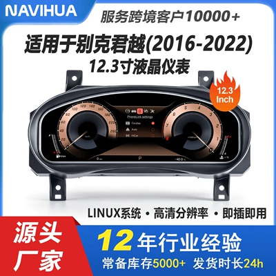 Cross-border bestseller: Plug-and-play automobile instrument