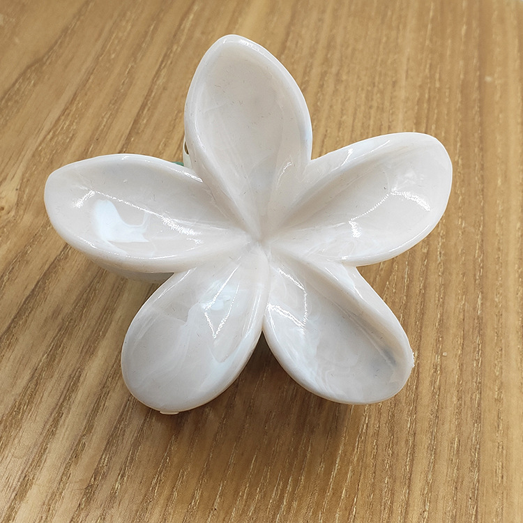 国境を越えたアマゾンの卵の花がグラデーションの花のキャンディー色の紫荊花の後頭部をつかんでサメの花を挟んで髪を伸ばします。|undefined