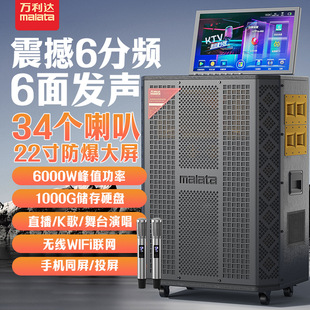 Wanlida A8 Square Dance Audio Outdoor Karaoke with Display Speaker Karaoke All-In-One Home Mobile Ktv