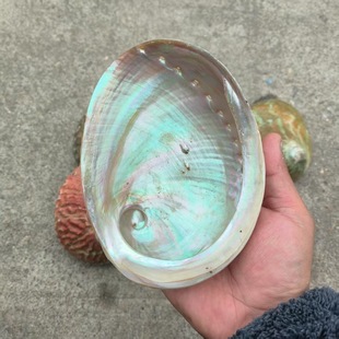 ���]���Sֱ�l�{��β��ѩ�������}ľ��޹�Ⱦ����U�~�����ݰ���β��