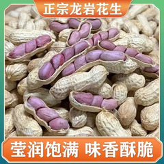龍岩湿式ローストピーナッツ 500g 福建省西部特産品 福建省龍岩紫ピーナッツ 水煮クリスピーファイブスパイス 新入荷 塩干し