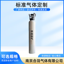 供应甲烷标气  批发甲烷混合硫化氢标气色谱分析用气体检测标准气