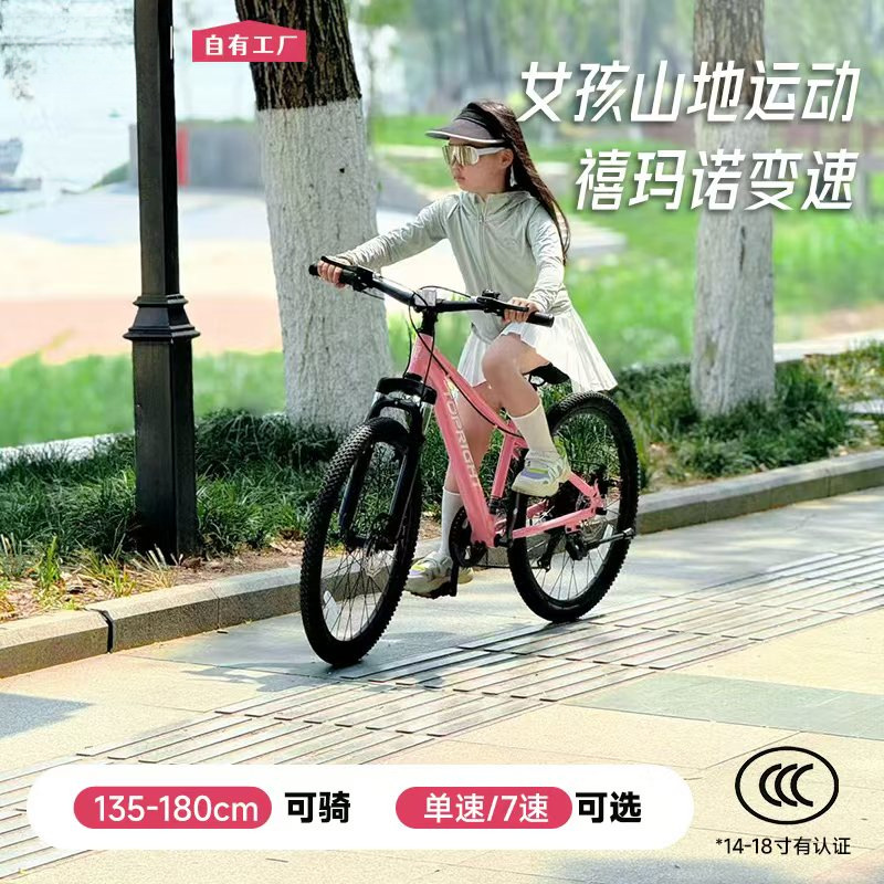 Variable Speed Bike 5 Ruida Girls' Inch Road Bike Youth Mountain Bike 6-Year-Old Boy's Bicycle