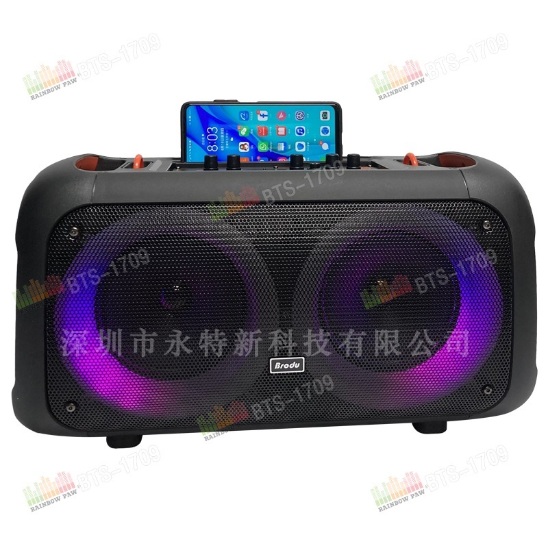 KTS 工場卸売 BTS シリーズ BTS-1709 デュアル 6.5inch ポータブル ストラップ Bluetooth スピーカー|undefined