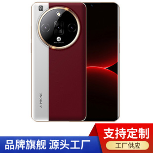 ȫ��ԭ�b��ƷV16 Pro�����֙C512G����ȫ�Wͨ5G�S�Ҷ���ֱ������