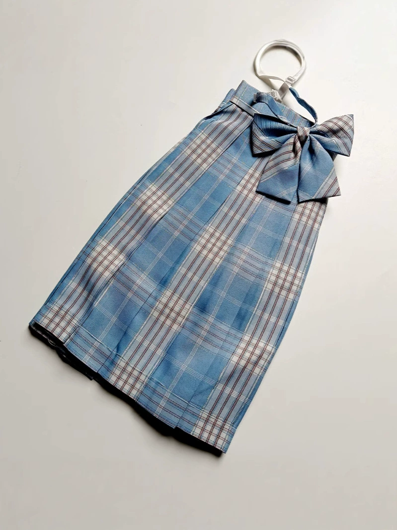Student pleated skirt