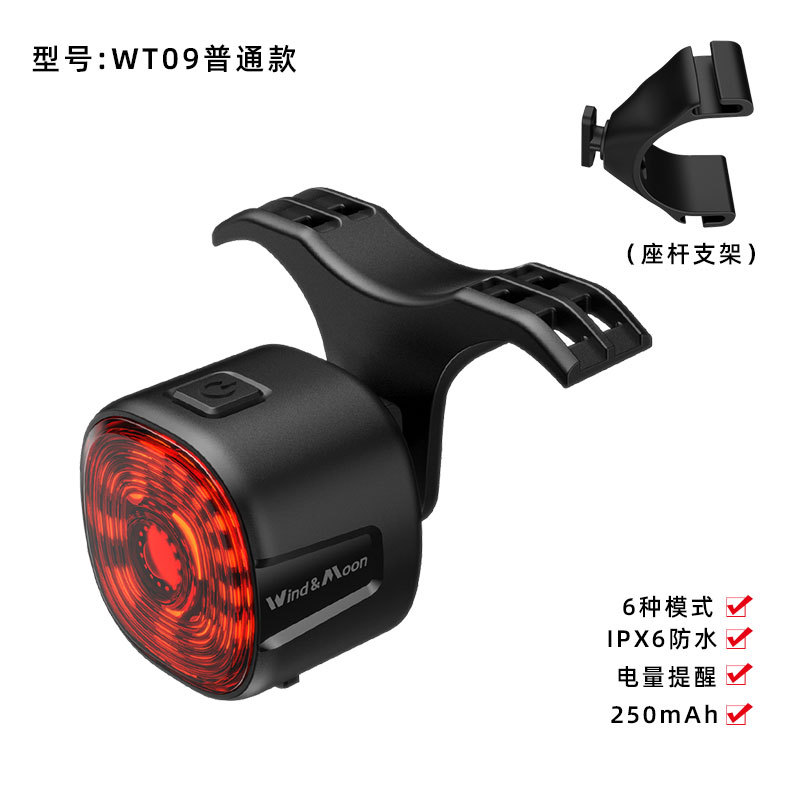 WT09 (garantía de un año solo reemplazo y no reparación)