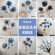 ��c���滨�F���{ɫϵ ��c·���廨�bҾӔ[�� �������Q���l