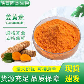 姜黄素95% 姜黄提取物 姜黄粉 另有水溶姜黄素 脂质体姜黄素 现货