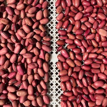 ħ�������󵶶�DIY�ֹ�����ֲ�﹤ˇƷ����������hԭ����