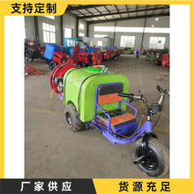 小型城市道路绿化喷药机座驾式农业喷药机苗圃农用田间果园打药机