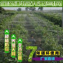 果园尼龙防鸟网大棚涤纶防鸟用网鱼塘养殖天网葡萄樱桃网防猫网片