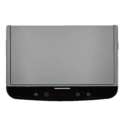 Rear Seat Entertainment, Car TV