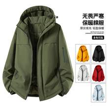 �ﶬ��ʿ�Bñ�������׼Ӻ񶬼����b2025�¿���������b��