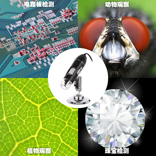 Factory 1600x Three-in-One Interface Portable Microscope with Phone and Computer Digital Microscope