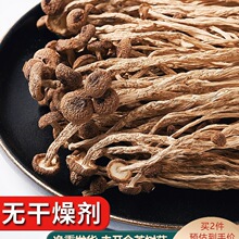 36.6元500g新鲜农家茶树菇干货不开伞茶薪菇250g非香菇蘑菇