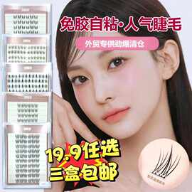 十排排懒人款大容量免胶自粘假睫毛自然分段式云朵鸟系自然猫精灵