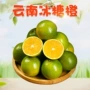 云南新鲜切面甜橙冰糖橙