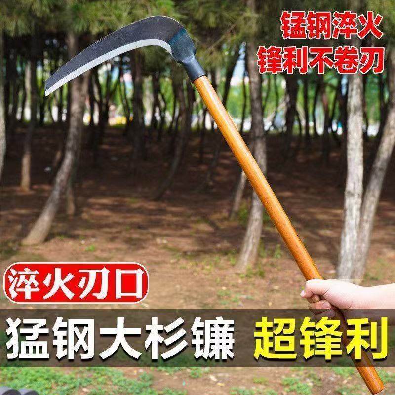 微信图片_20260222124928_106_28.jpg