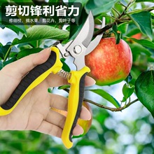���P䓘�֦��ժ����ժ�O����֦�������@�����Ӽ���