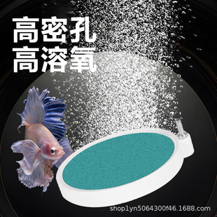 �S��ֱ�N�~��ˮ�������{�ױ�����P����ʯ���^�o��������{�׼���