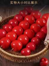 �����Ǻ��J�赸���߼�ˮ�����L���յ����ֳ�ģ���׃��@�b�ͯ��