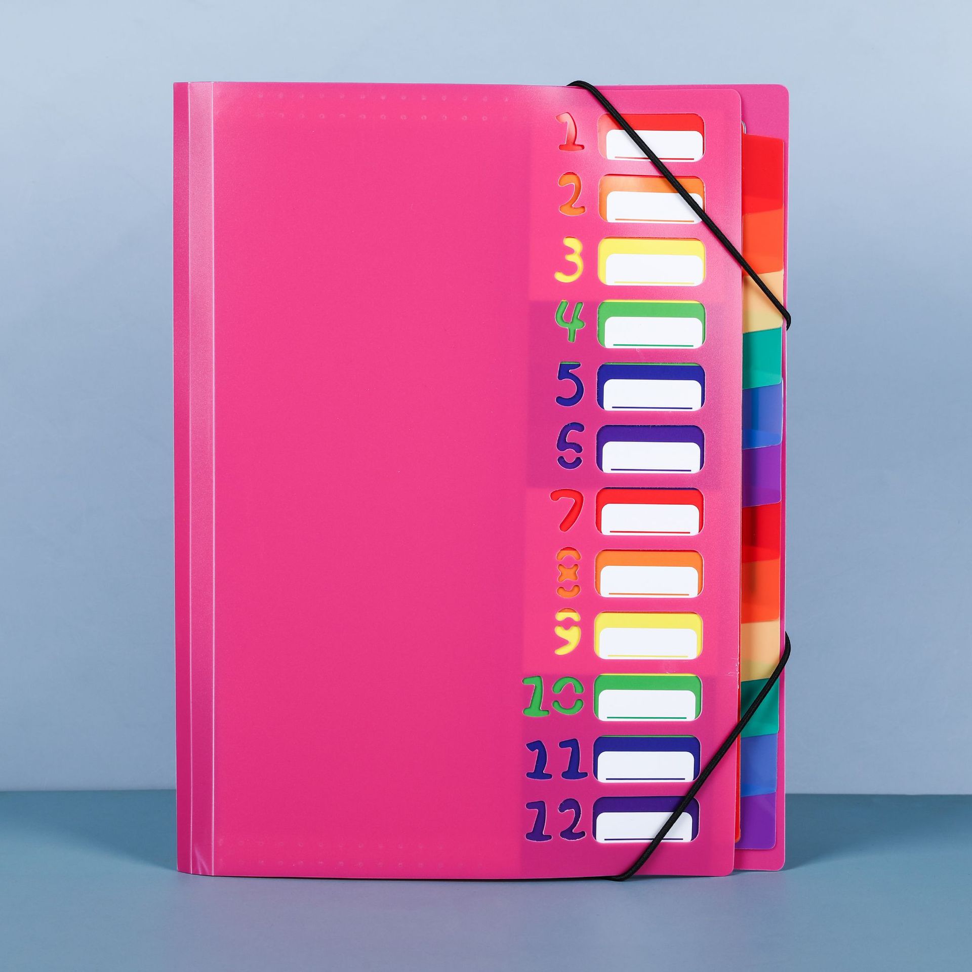 12-page Rainbow clasificación bolsa de órganos transfronteriza nueva carpeta de almacenamiento de materiales de oficina PP cuerda clip de órgano al por mayor