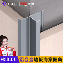 铝合金护墙板海棠阳角木饰面墙板阳角线生态板包角装饰金属收口条