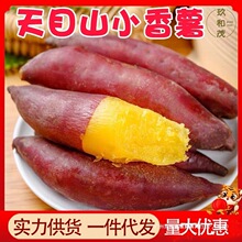 35天目山小香薯小10手指番薯新鲜蔬菜斤临安黄心沙地板栗红薯常温