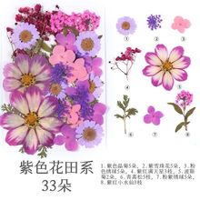 ɻSֱNz޹ֹ~NdiyȻֲ˱y