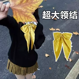 领结/领花;领带;口袋巾