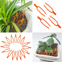 50���@ˇ�Nֲ�����o�̶��Aֲ�������ز�ݮ��ֲ�����϶�ֲ��S