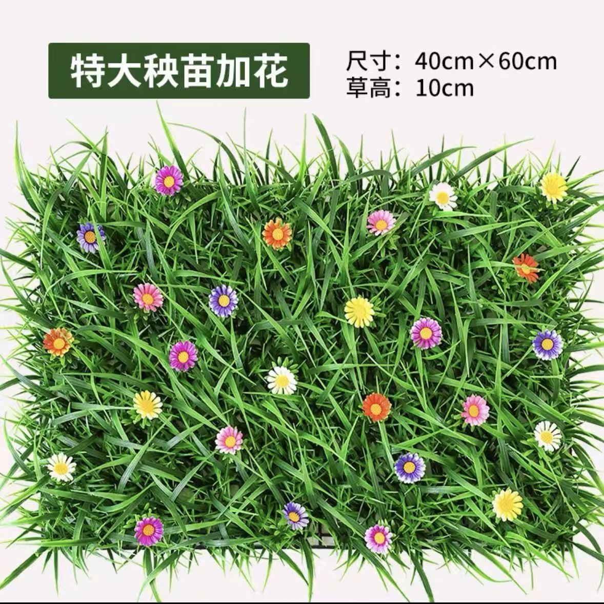Extra large seedlings with flowers