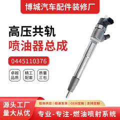 0445110376 5258744は、カミンズディーゼル電噴高圧コモンレール噴射器アセンブリ噴射ノズルに使用されています