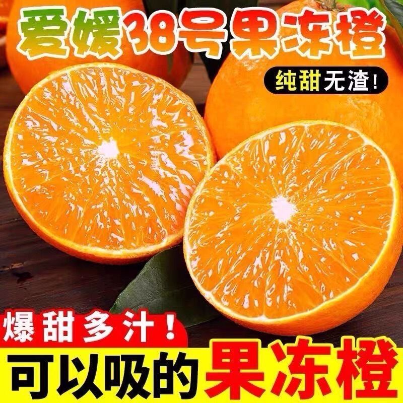 Authentic Sichuan Meishan Ehime Jelly Oranges, 38 Pieces, Thin-Skinned and Juicy, Freshly Picked and Directly Shipped, Suitable for Pregnant Women and Children Authentic Sichuan Meishan Ehime Jelly Oranges, 38 Pieces, Thin-Skinned and Juicy, Freshly Picked and Directly Shipped, Suitable for Pregnant Women and Children
