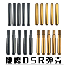 ����DSRܛ����ԭ�S���ϵ��� ���ُ���