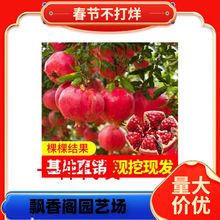 �ؑcʯ���� ���������l �޽Ӄ��|ܛ��ʯ����r�񃞻ݹ��S����ֱ�N