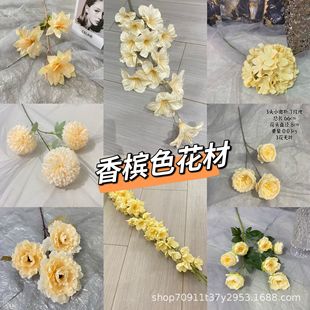 ��c���滨�㙉ɫ�b廨���Ļ����Ҹ����ő���ٻ����滨����