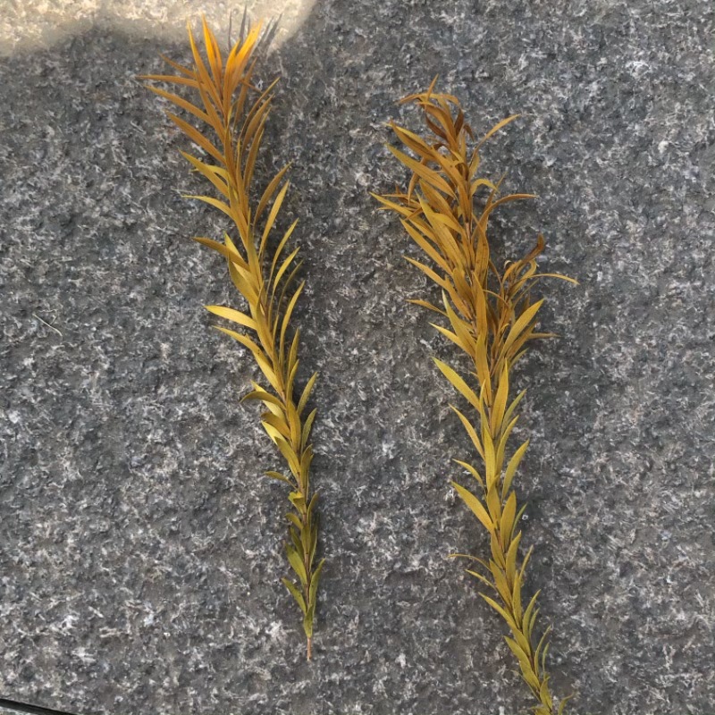 微信图片_20240525124804