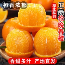 �������w����Ě�ȬFժ���r���ӱ�Ƥ��֭���Ȯa��ֱ�l����һ�����l