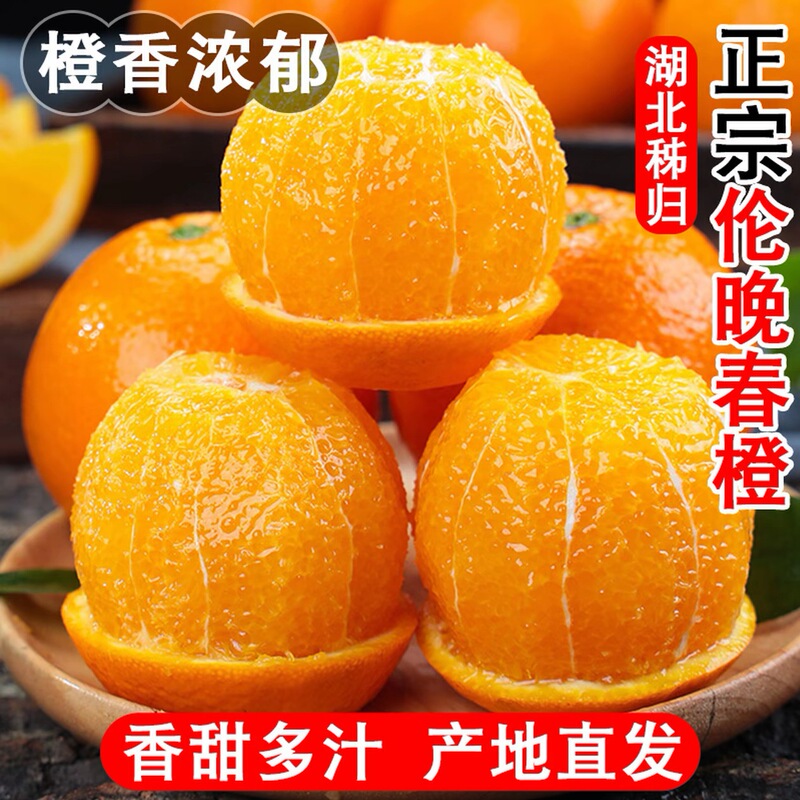 Hubei Ziguilun Late-Season Navel Oranges, Freshly Picked, Thin-Skinned, Juicy Spring Oranges, Direct Delivery from the Origin, Whole Box, Dropshipping Available Hubei Ziguilun Late-Season Navel Oranges, Freshly Picked, Thin-Skinned, Juicy Spring Oranges, Direct Delivery from the Origin, Whole Box, Dropshipping Available